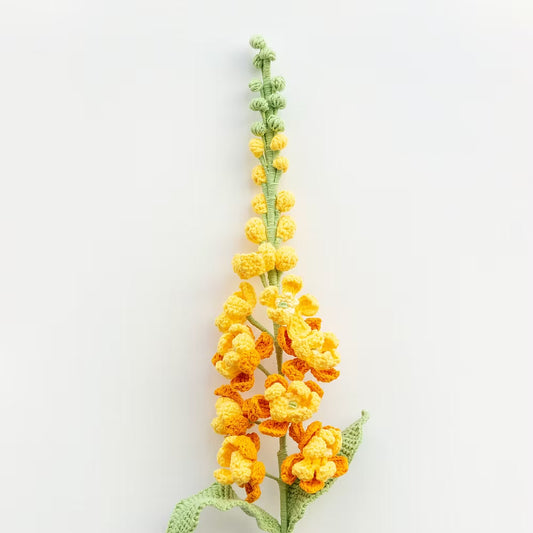 Delphinium Orange
