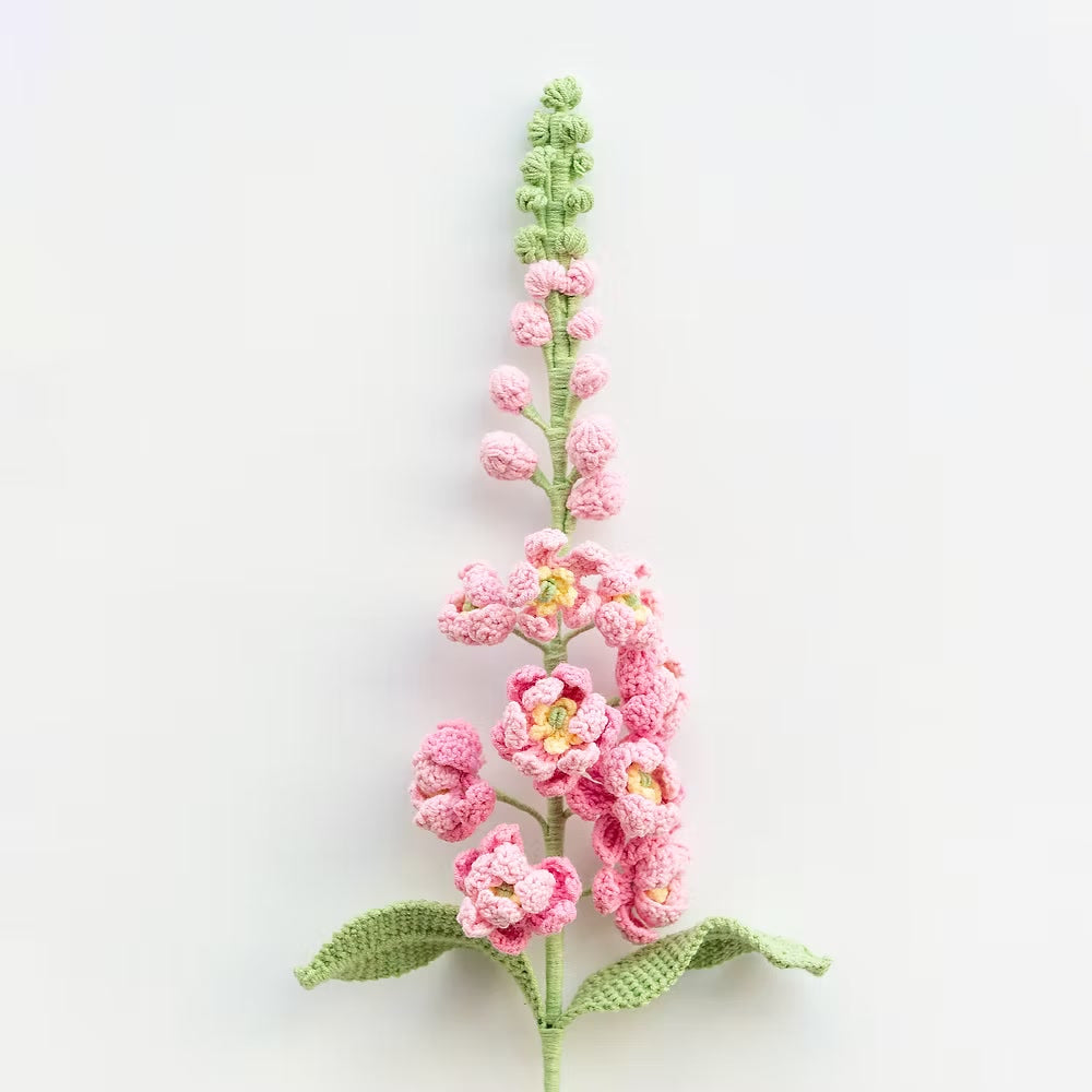 Delphinium Pink