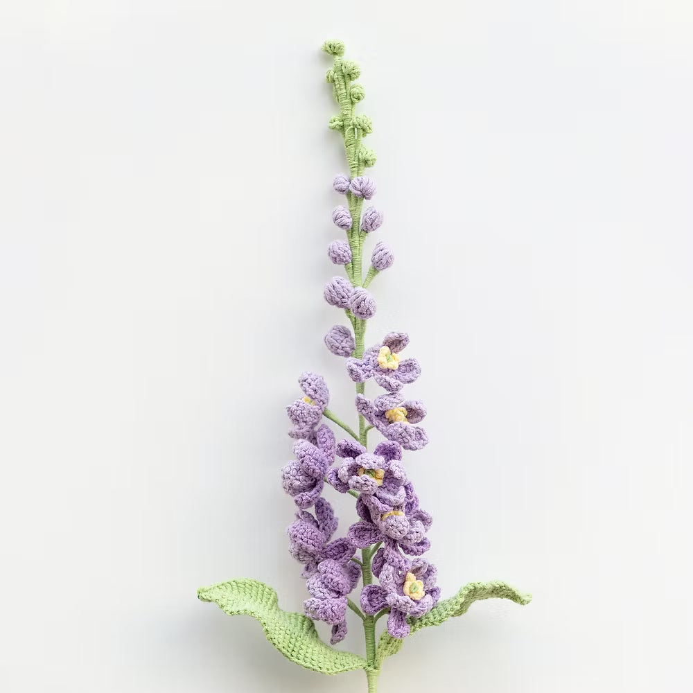 Delphinium Purple