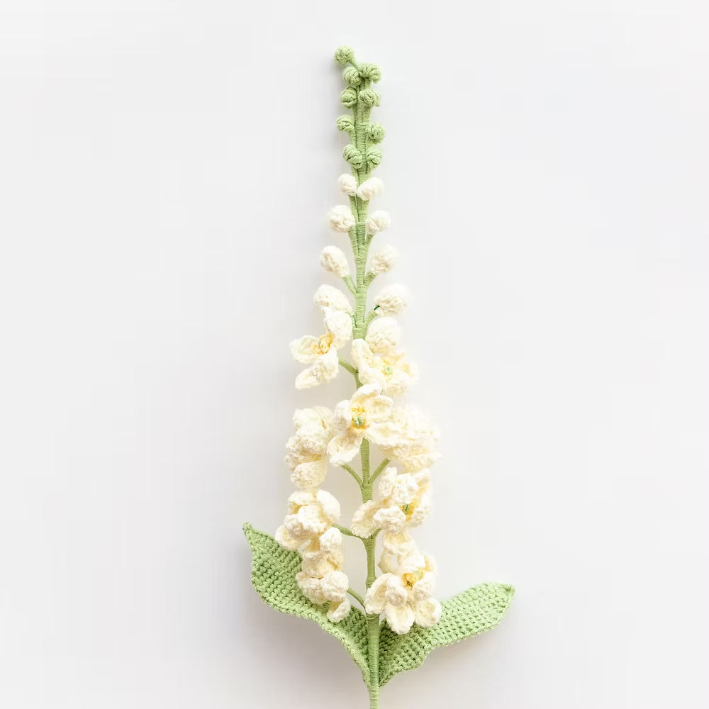 Delphinium White