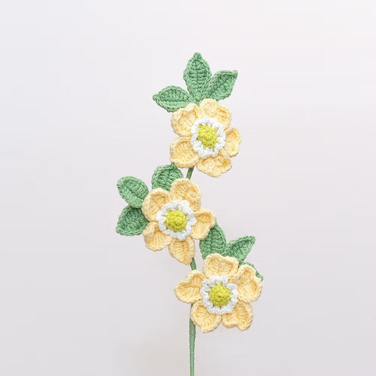 Dog Rose Yellow