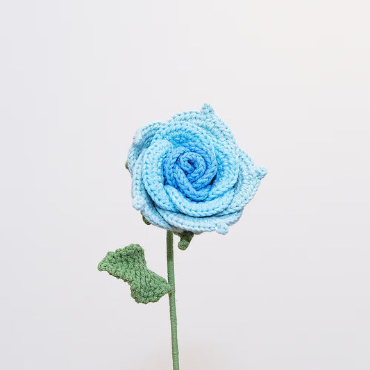Ecuadorian Rose Blue