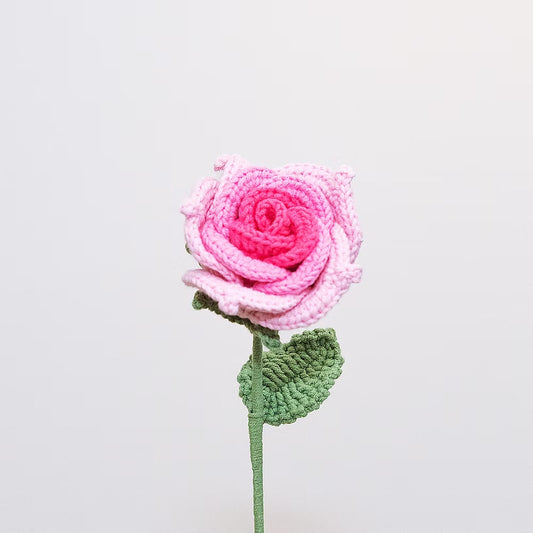 Ecuadorian Rose Pink