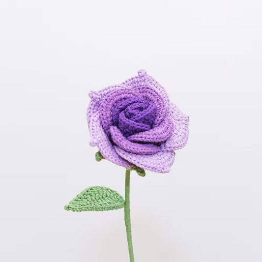 Ecuadorian Rose Purple