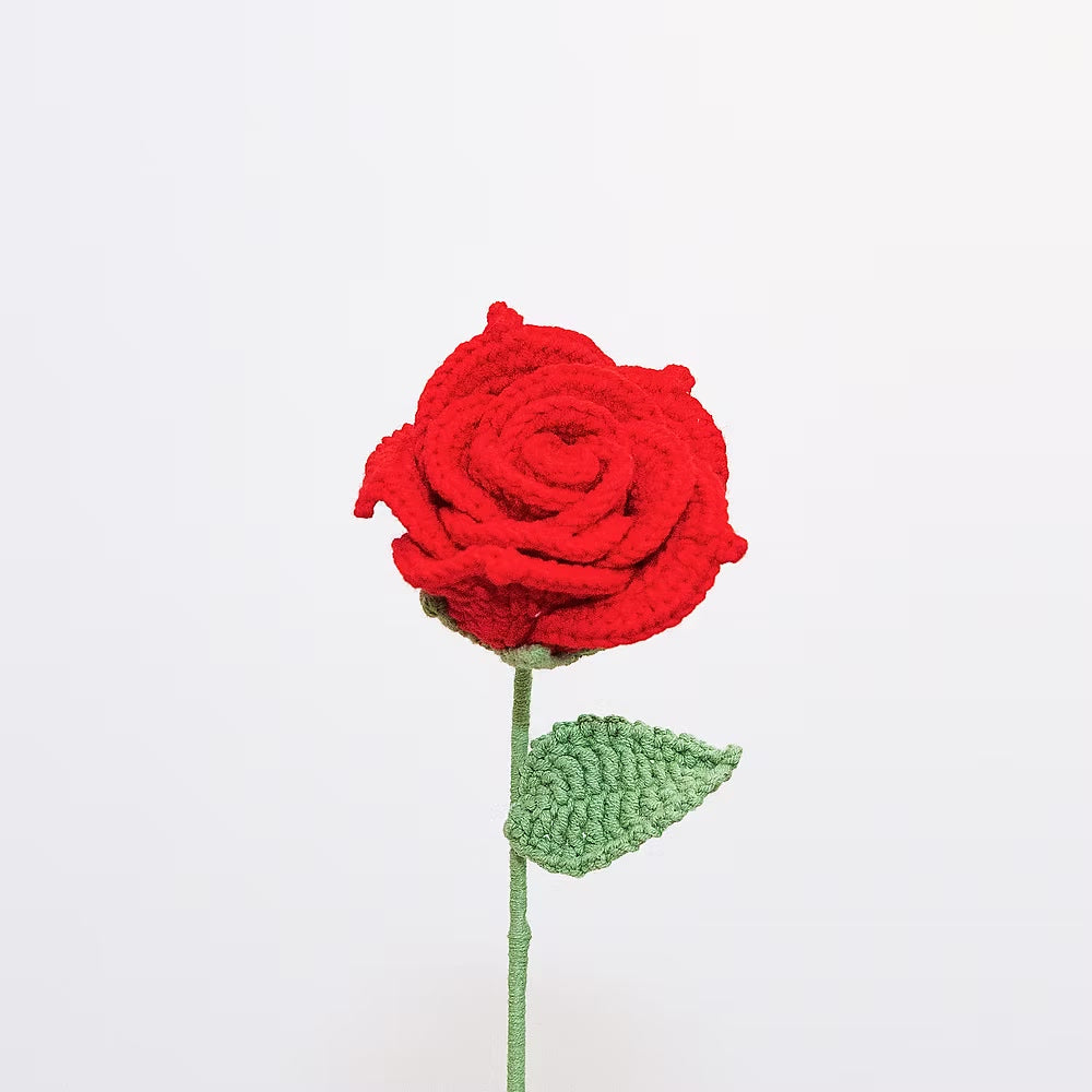 Ecuadorian Rose Red