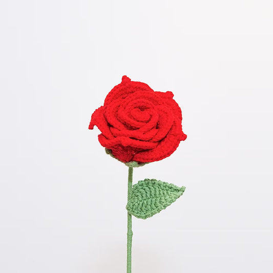 Ecuadorian Rose Red