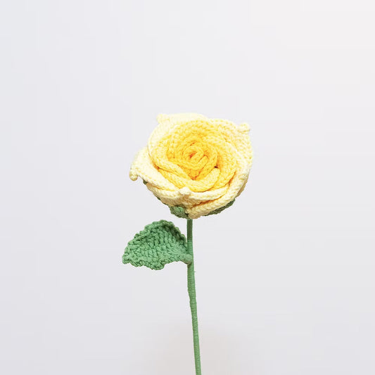 Ecuadorian Rose Yellow