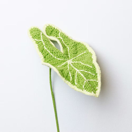 Elephant Ear Green