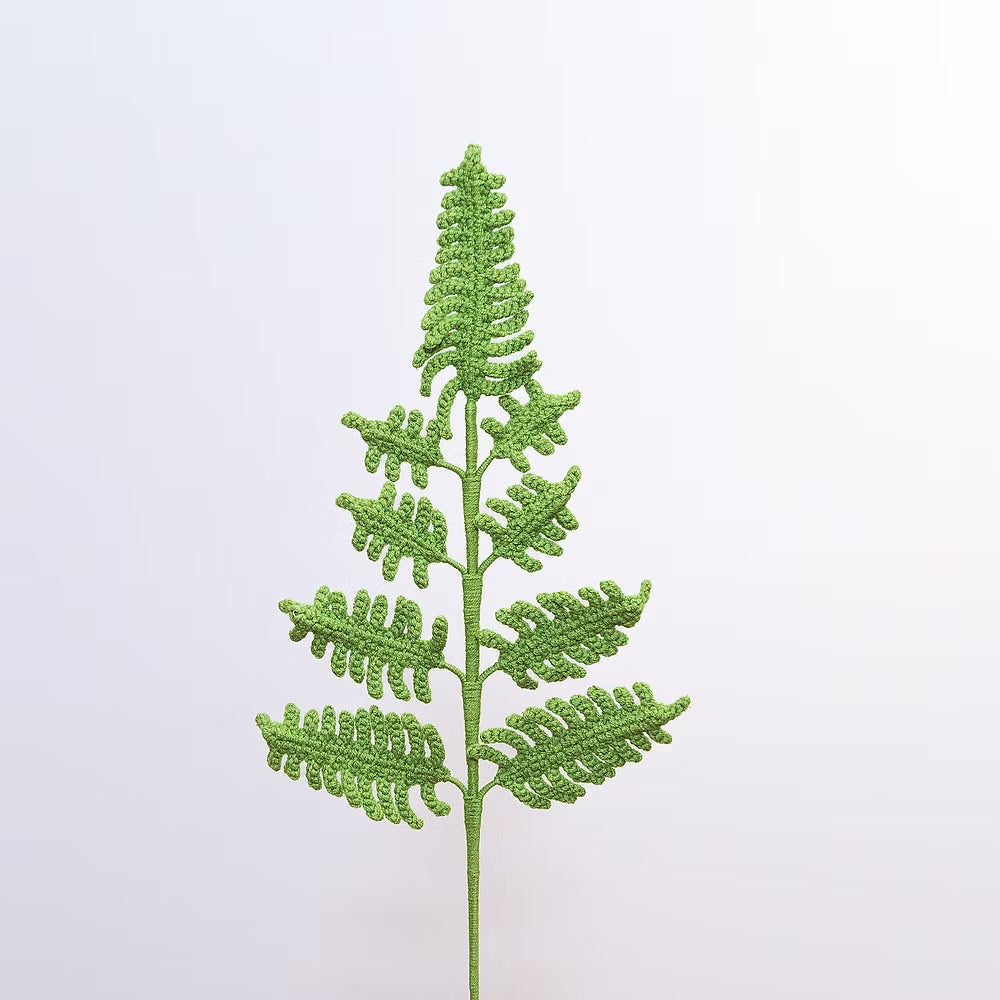 Fern Green