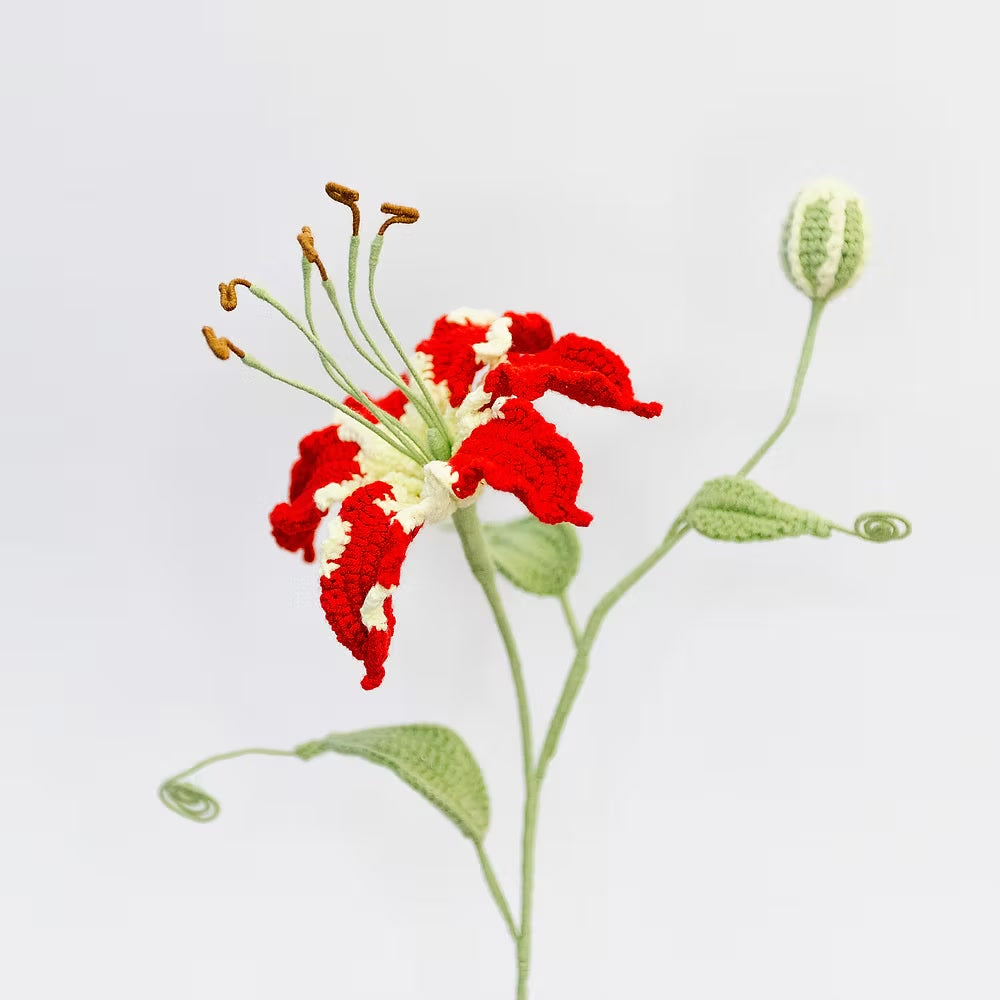 Flame Lily Red