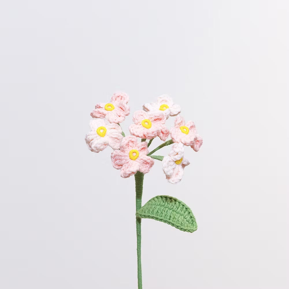 Forget Me Not Pink