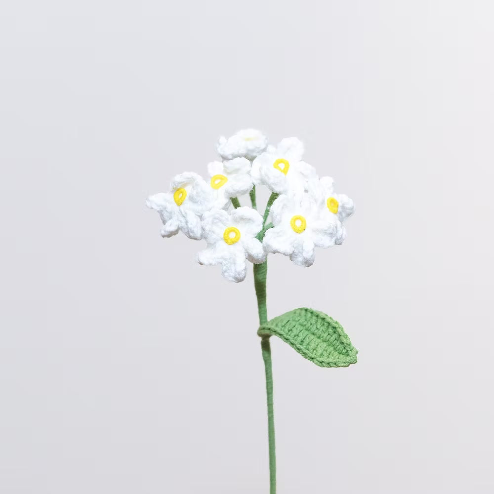 Forget Me Not White