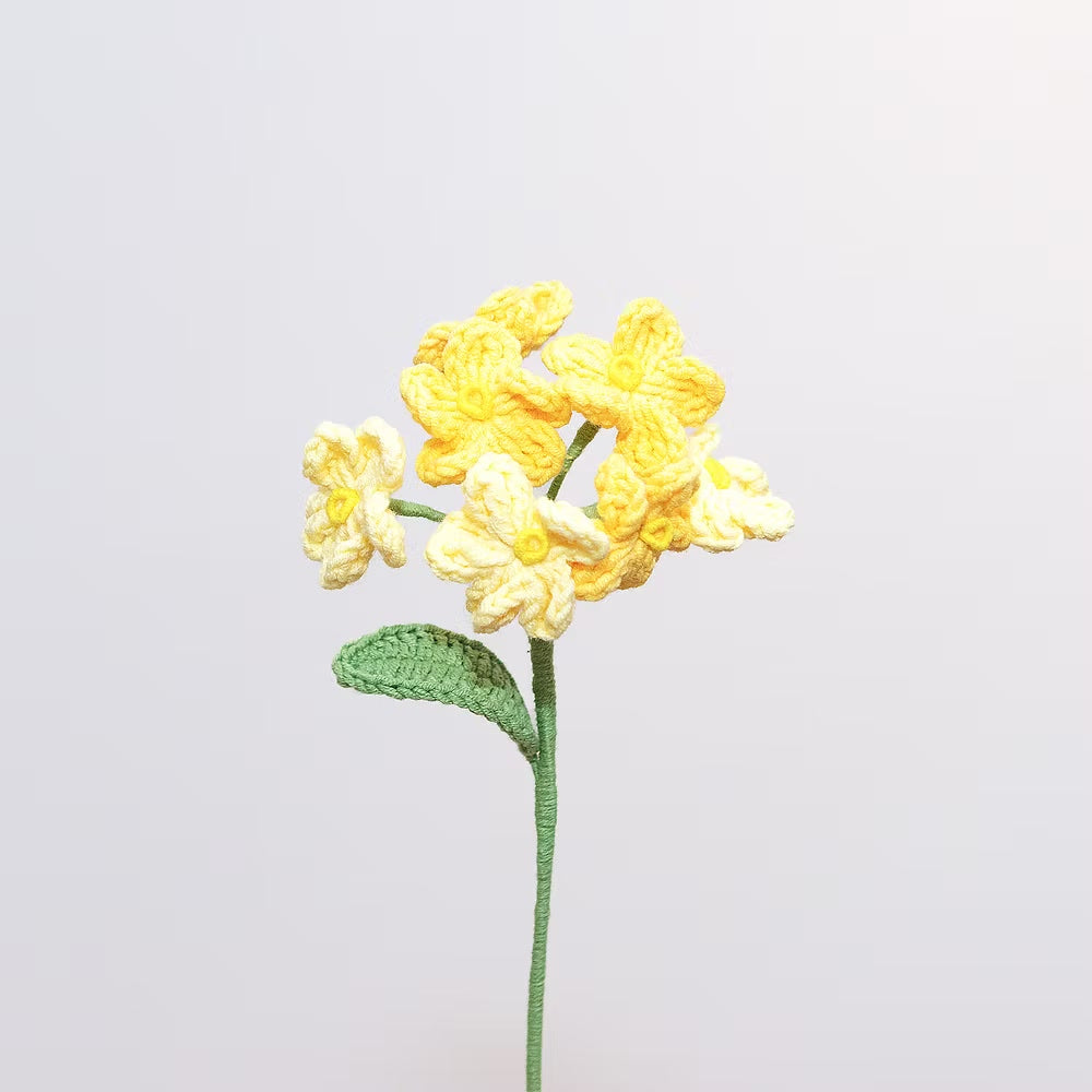 Forget Me Not Yellow