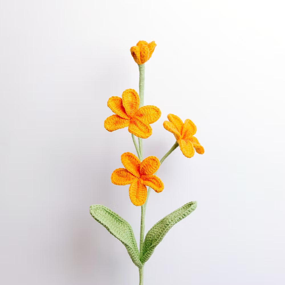 Frangipani Orange