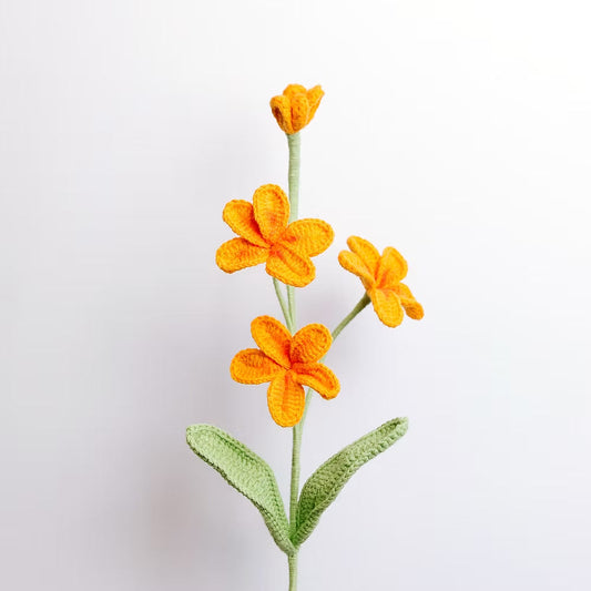 Frangipani Orange