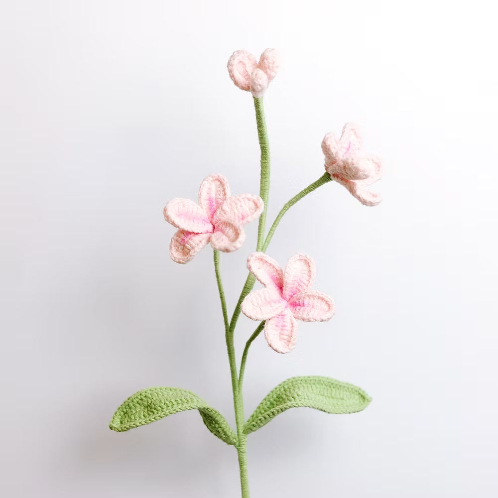 Frangipani Pink