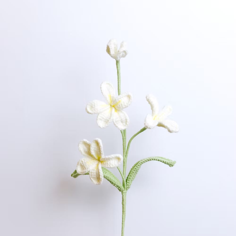 Frangipani White