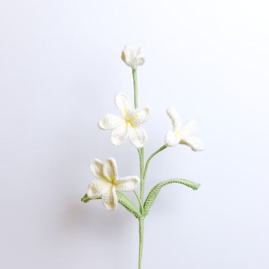 Frangipani White