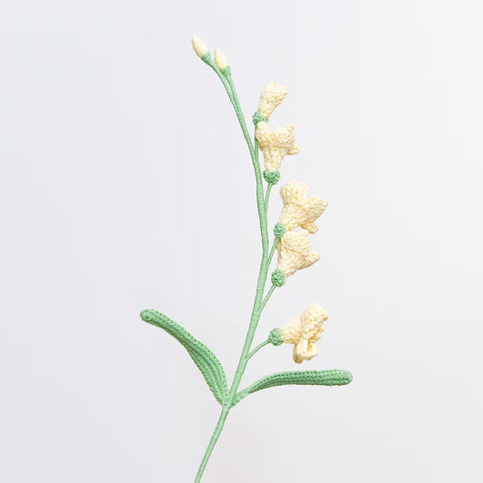 Freesia Yellow