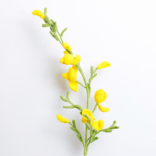 Gorse Yellow