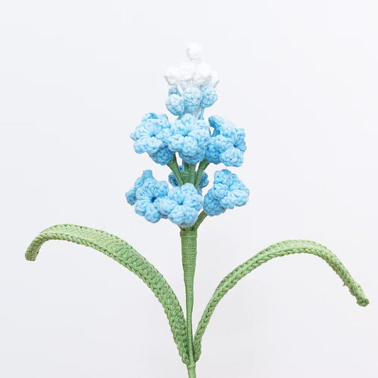 Grape Hyacinth Blue