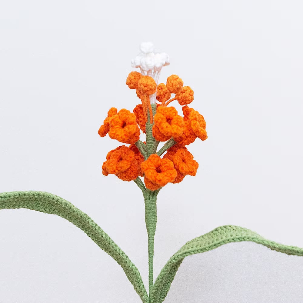 Grape Hyacinth Orange