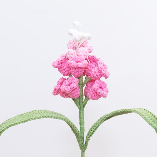 Grape Hyacinth Pink
