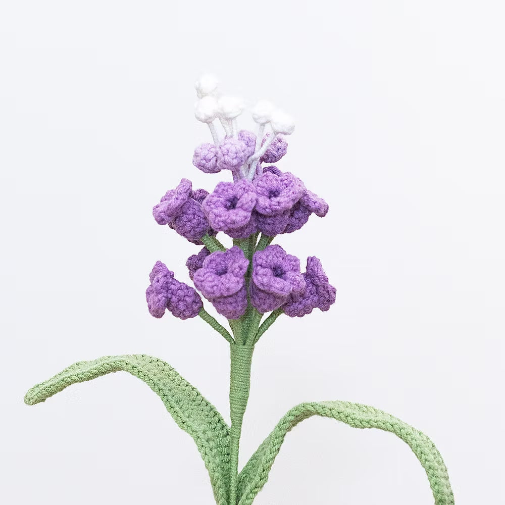 Grape Hyacinth Purple