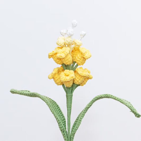 Grape Hyacinth Yellow