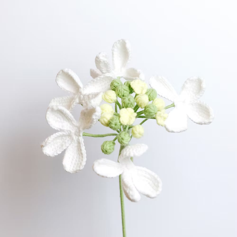 Guelder Rose White