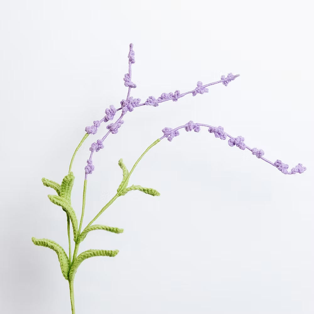 Lavender of Provence Purple