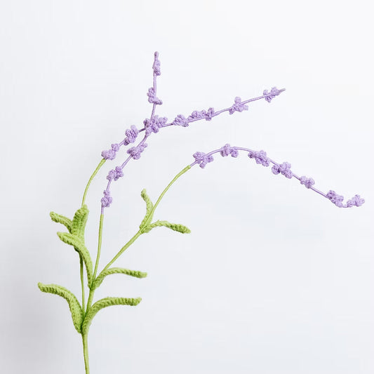 Lavender of Provence Purple