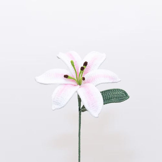 Lily White-Pink