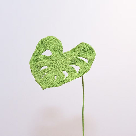 Monstera Green