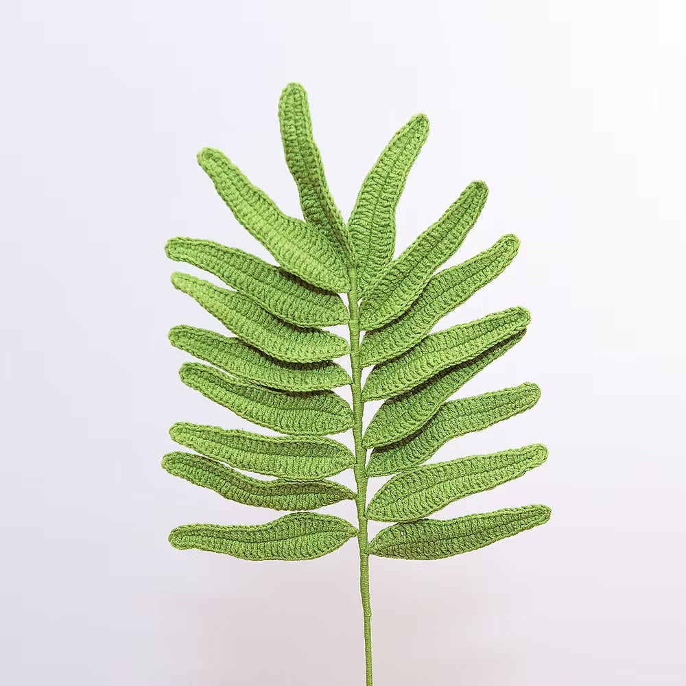 Palm Green