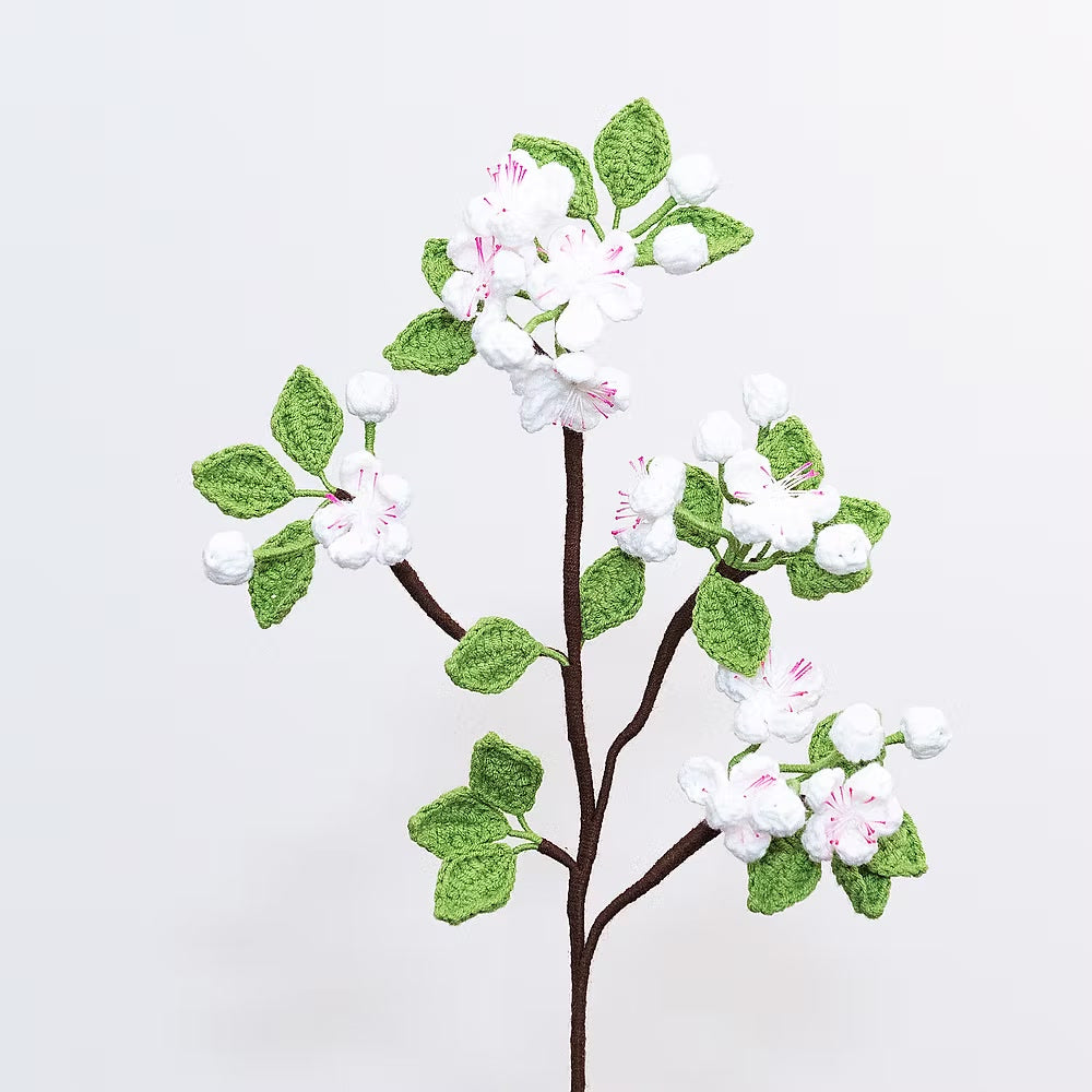 Pear Blossom White