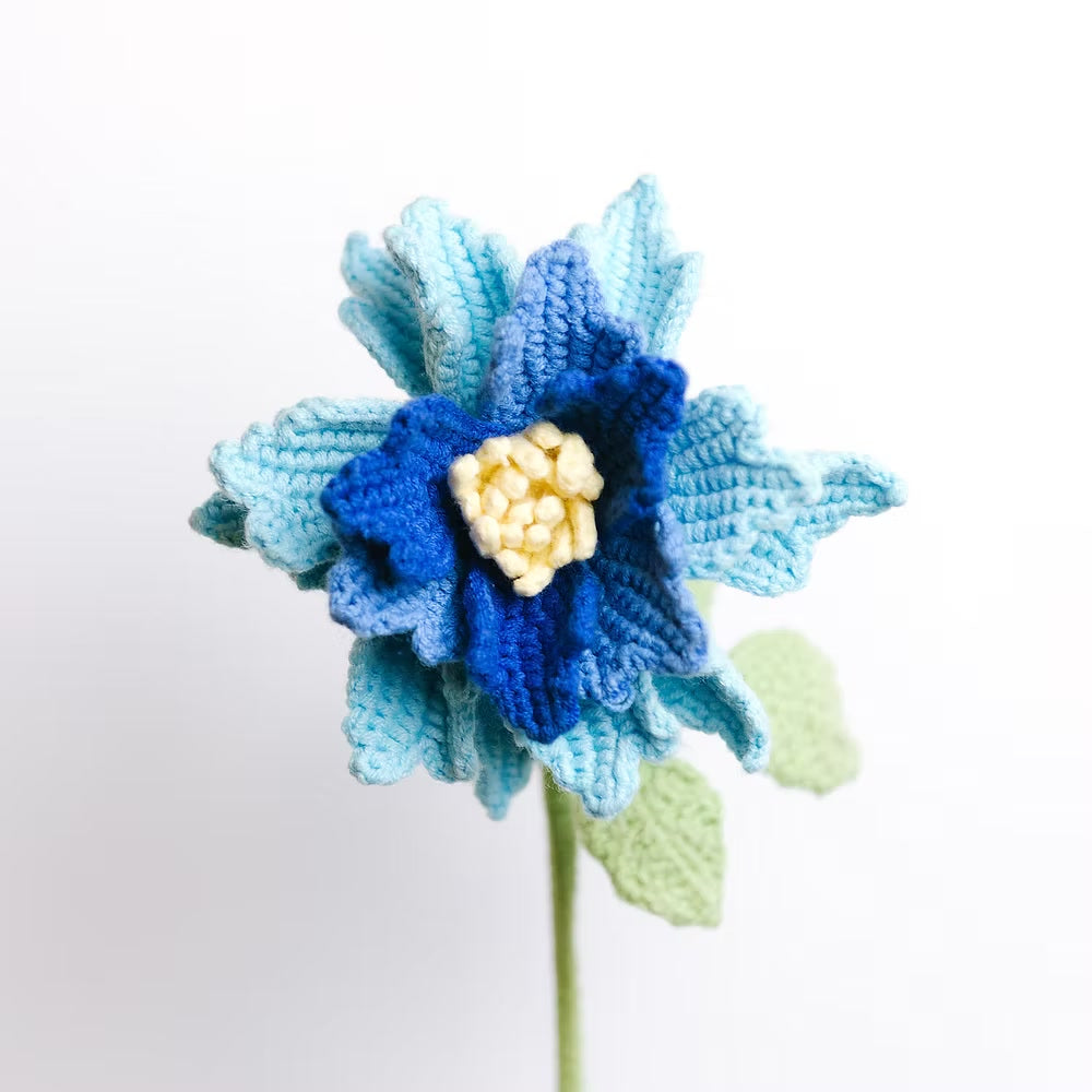 Rose de Couture Blue