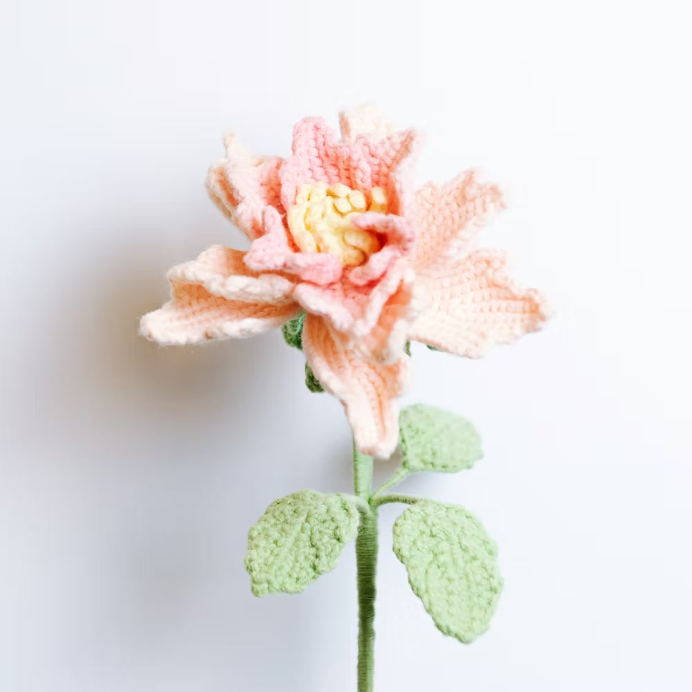 Rose de Couture Pink