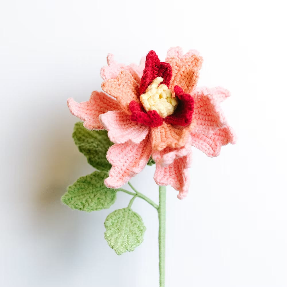 Rose de Couture Red