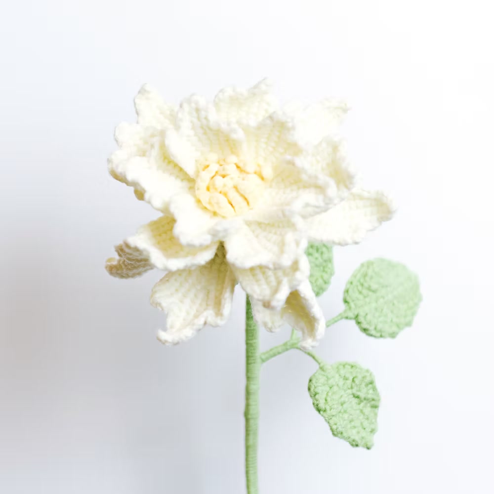 Rose de Couture White