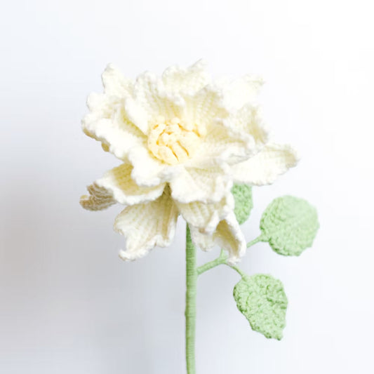 Rose de Couture White