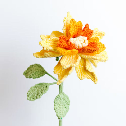 Rose de Couture Yellow