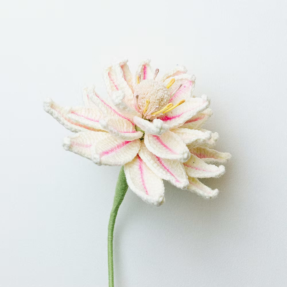 Serruria White