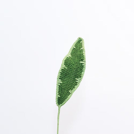 Ti Plant Green