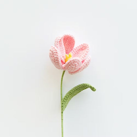 Tulip Light Pink