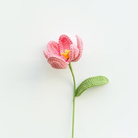 Tulip Pink