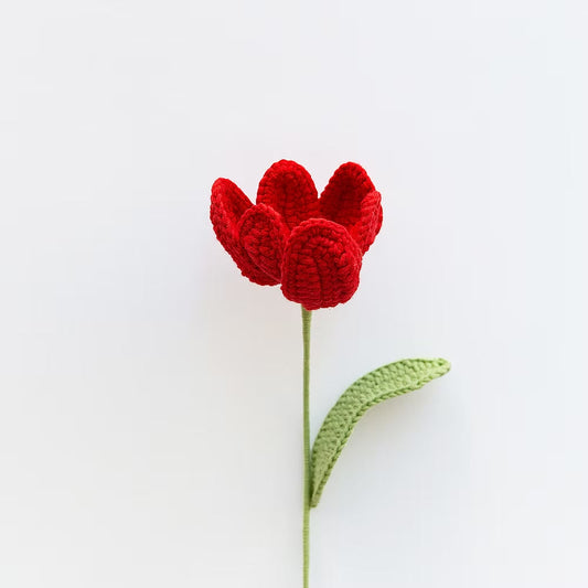 Tulip Red