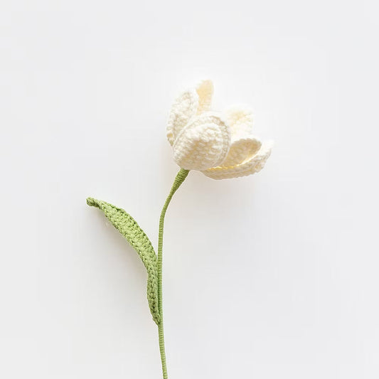 Tulip White