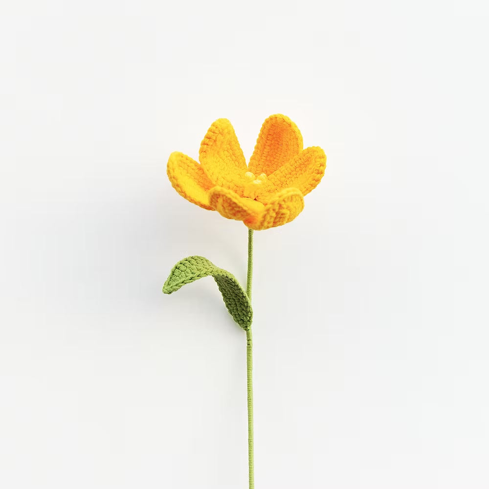 Tulip Yellow
