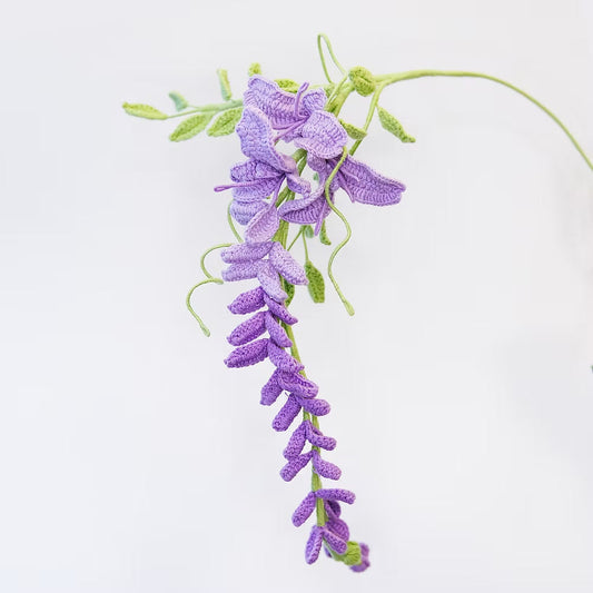 Wisteria Purple